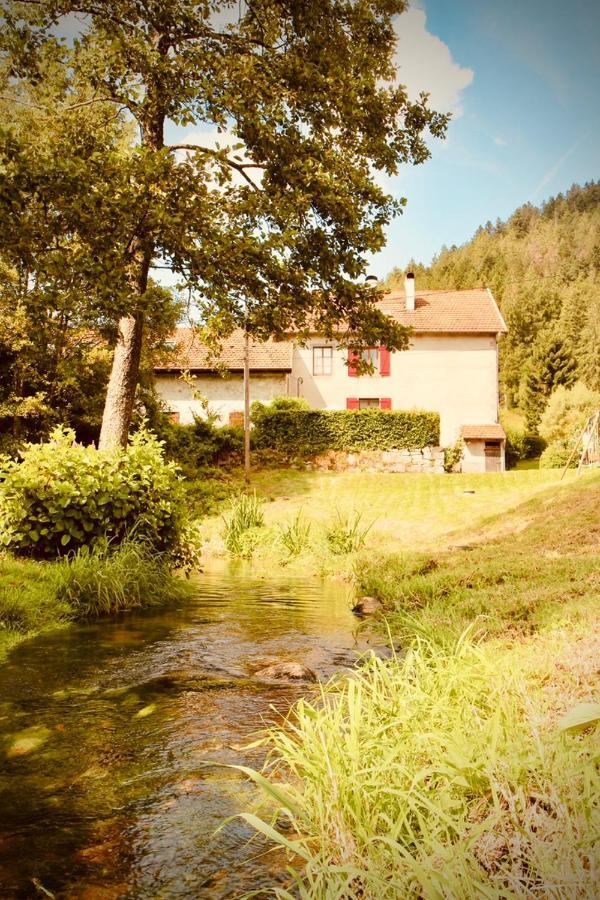 Gite De Charme Jusqu'A 14 Personnes, Proche Du Lac De Gerardmer Gérardmer Exterior foto